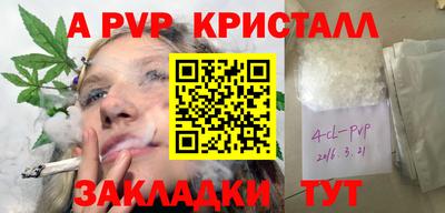 шишки Гай