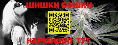 шишки Гай