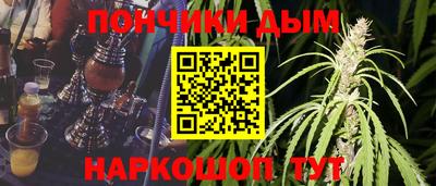 шишки Гай