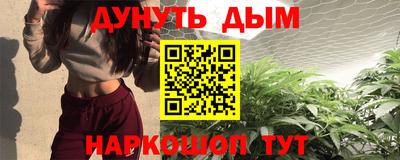 шишки Гай